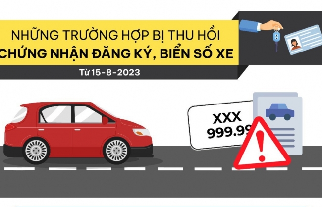 infographics 8 truong hop bi thu hoi chung nhan dang ky bien so xe