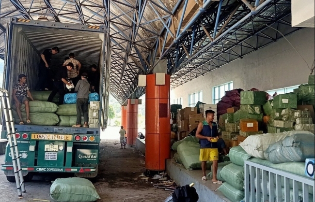 Siết chặt kiểm tra, giám sát hàng quá cảnh, vận chuyển độc lập