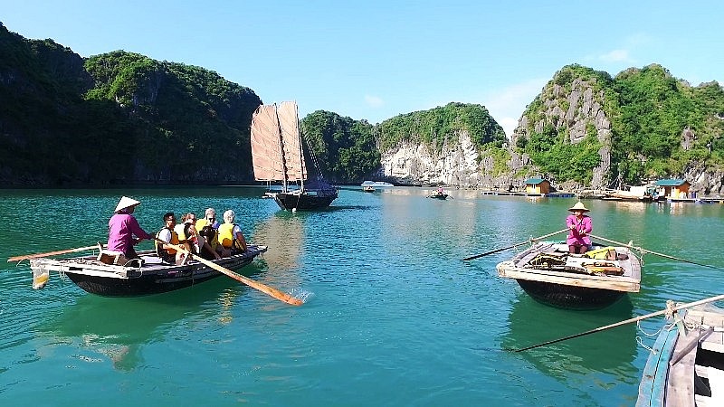 Miễn, giảm phí tham quan Vịnh Hạ Long, Bái Tử Long cho trẻ em và người già