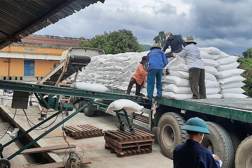 Đấu thầu mua gạo dự trữ quốc gia công khai, minh bạch