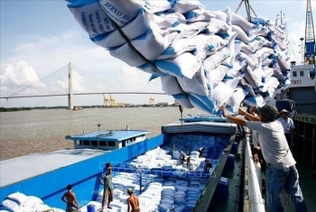 Exports of rice and vegetables increase dramatically
