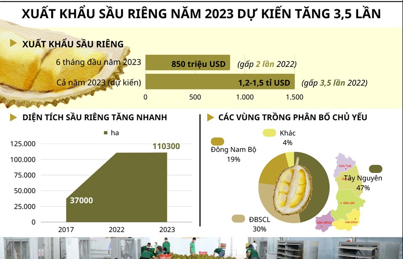 Xuất khẩu sầu riêng của Việt Nam năm 2023 dự kiến tăng mạnh