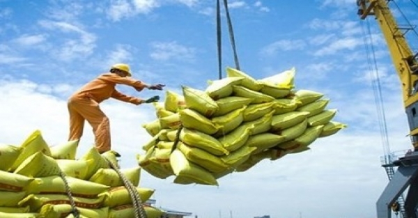 Measures needed to regain export momentum in second half of this year - Vimarsana News