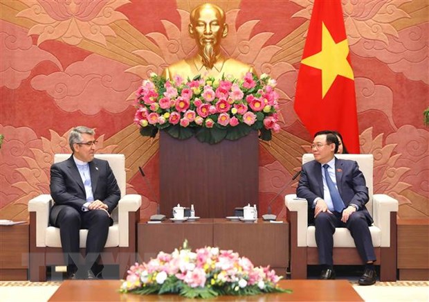 Viet Nam thuc day quan he hop tac toan dien voi Indonesia va Iran hinh anh 3