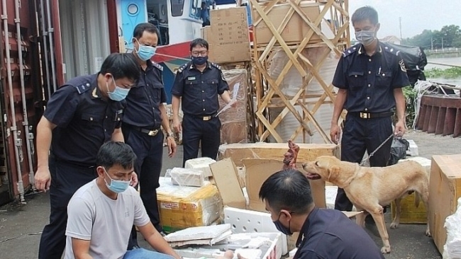 TP. Hồ Chí Minh: Phát hiện hơn 1 nghìn vụ vi phạm pháp luật hải quan