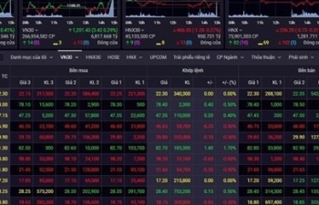 VN-Index hits 10-month high