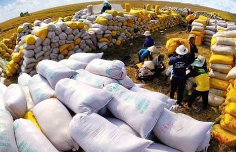 Vietnam to earn over 4 billion USD from rice exports this year: MARD