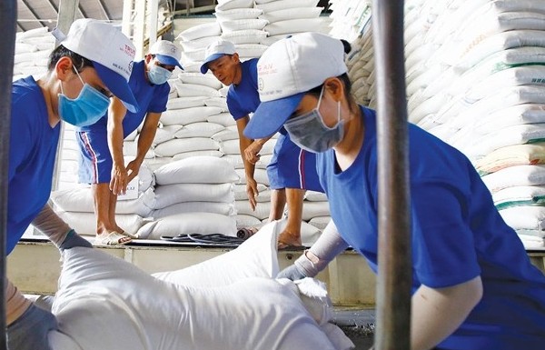 Nhiều nước hạn chế xuất khẩu gạo: Thời cơ cho gạo Việt Nam