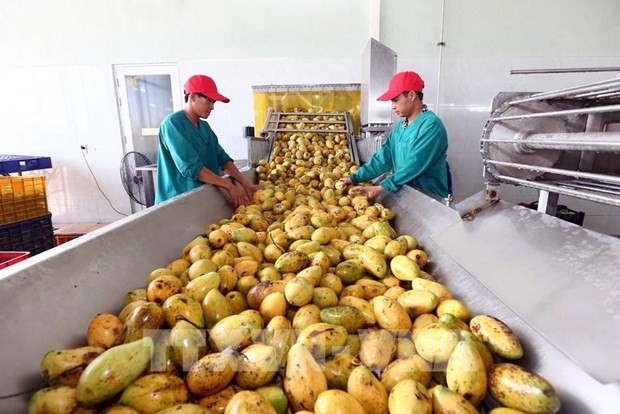 Three years into EVFTA: Vietnam’s agricultural exports grow impressively