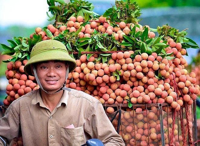 Tạo đòn bẩy phát triển kinh tế từ sức mạnh liên kết vùng