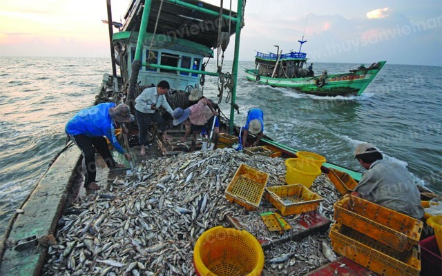 Đoàn Thanh tra của EC dự kiến sang Việt Nam vào tháng 10/2023