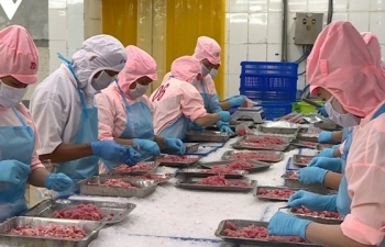 Japan becomes largest importer of Vietnamese seafood in second quarter