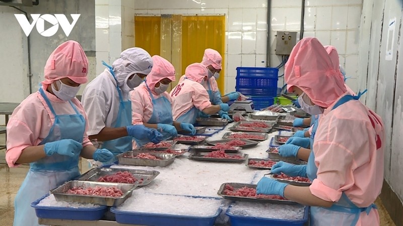 Japan becomes largest importer of Vietnamese seafood in second quarter
