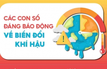 Các con số đáng báo động về biến đổi khí hậu