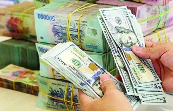Nguồn cung ngoại tệ tích cực kỳ vọng sẽ giúp tỷ giá VND/USD ổn định về cuối năm