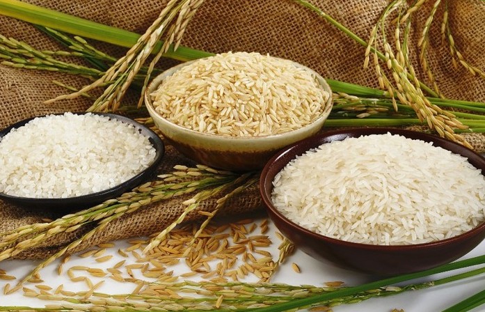 Ngày 10/8: Giá các mặt hàng lúa gạo chững lại