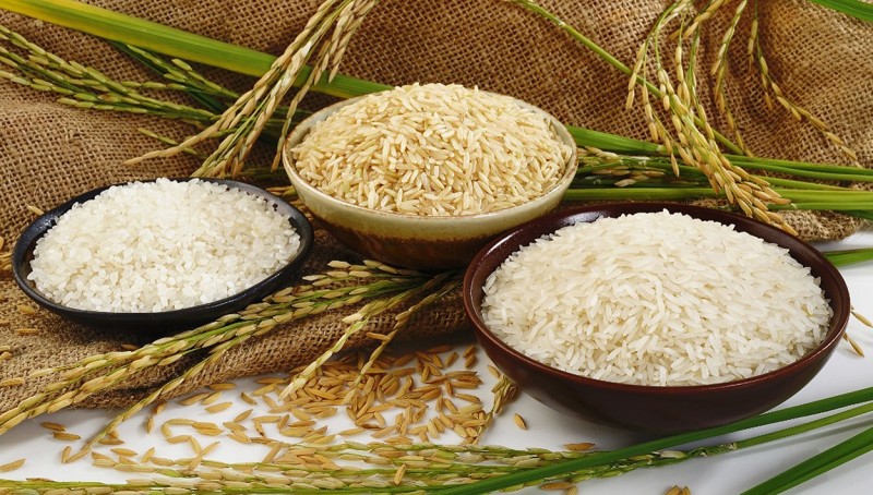 Giá lúa gạo hôm nay ngày 10/8/2023: Giá gạo tiếp đà tăng 150 đồng/kg