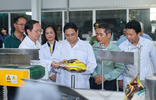 Thủ tướng thăm một số cơ sở sản xuất, chế biến lúa gạo hiện đại, công nghệ cao