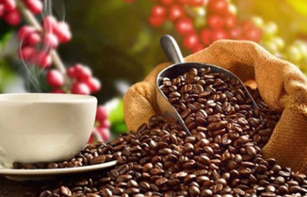 Average Vietnamese coffee export price sets record high in July
