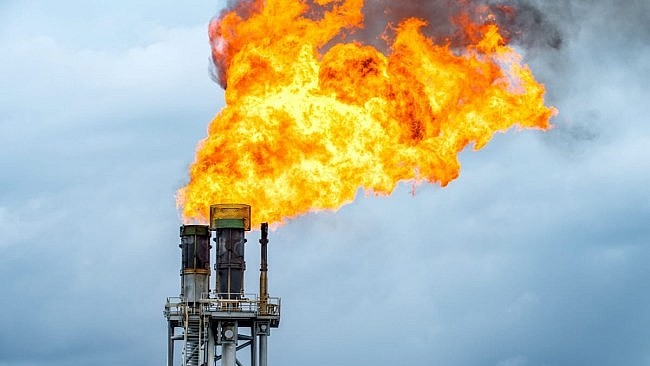 Ngày 15/8: Giá gas tăng, dầu thô biến động nhẹ