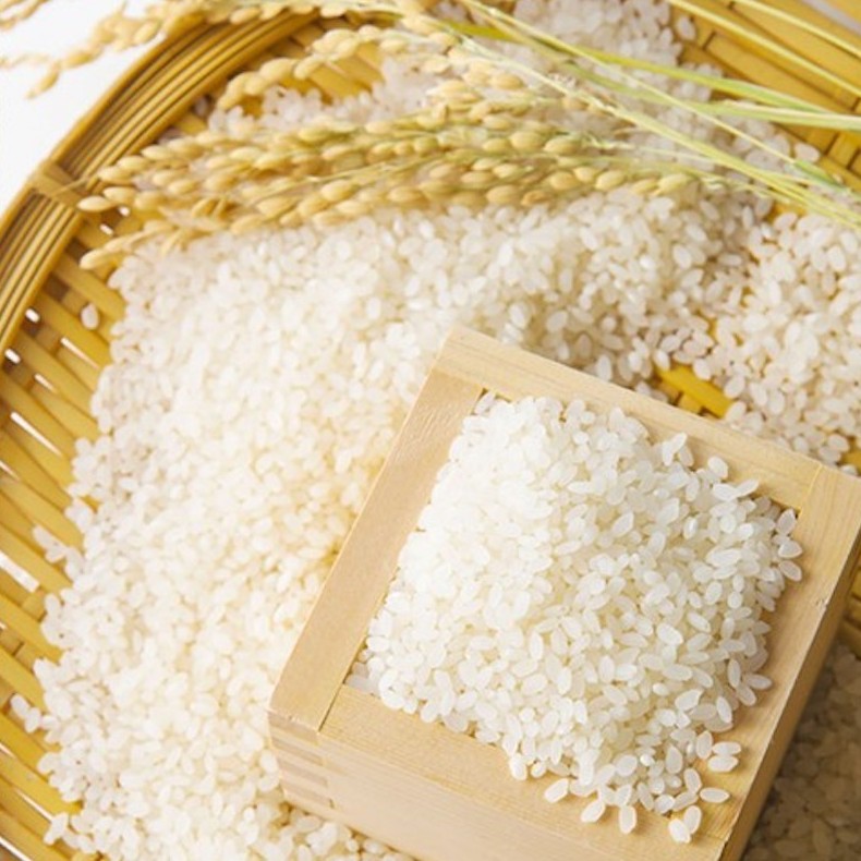 Ngày 17/8: Giá lúa và gạo xuất khẩu cùng quay đầu giảm