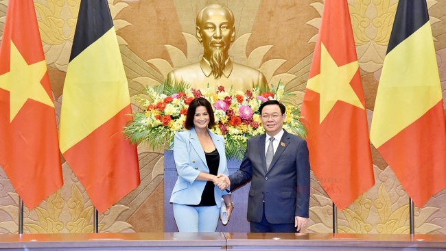 Chủ tịch Quốc hội Vương Đình Huệ đón, hội đàm với Chủ tịch Thượng viện Vương quốc Bỉ