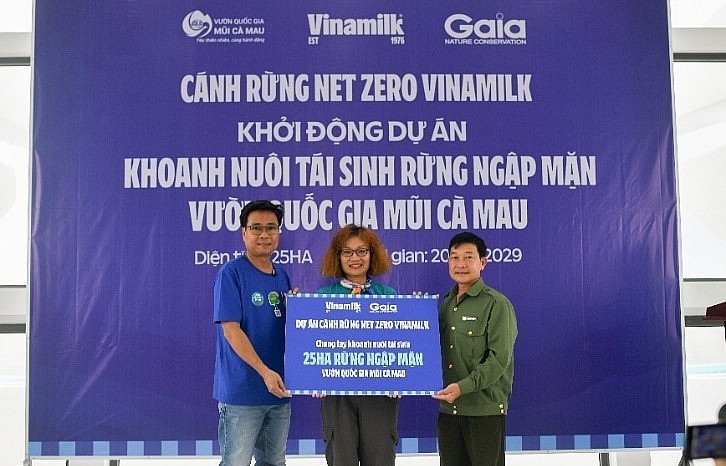 Đẩy mạnh dự án 'cánh rừng Net Zero', Vinamilk khoanh nuôi tái sinh 25 ha rừng ngập mặn Cà Mau