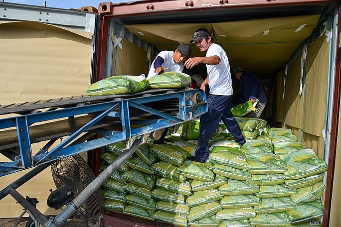 Chủ động đảm bảo an ninh lương thực và dư địa để xuất khẩu gạo