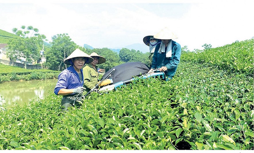 Tháo gỡ điểm nghẽn chậm giải ngân vốn cho chương trình giảm nghèo