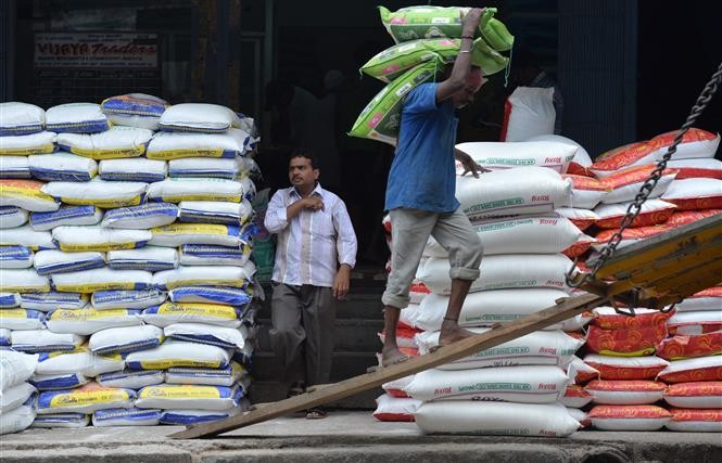 Giá gạo tăng, nguồn cung thiếu đe dọa an ninh lương thực toàn cầu