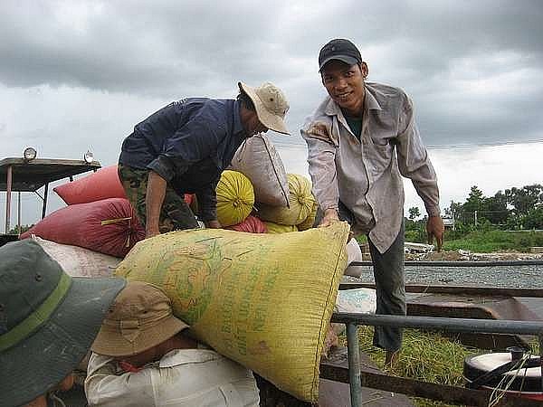 Ngày 28/8: Giá lúa tăng ở một số chủng loại, gạo xuất khẩu giữ vị trí cao nhất thế giới