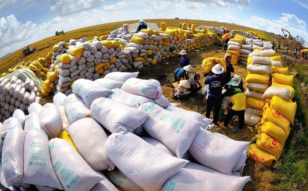 Exports add tens of billions of USD to coffers thanks to FTAs Exports add tens of billions of USD to coffers thanks to FTAs