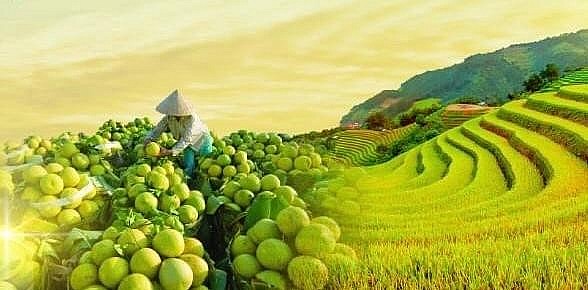 Sản xuất xanh giúp doanh nghiệp gia tăng lợi thế cạnh tranh