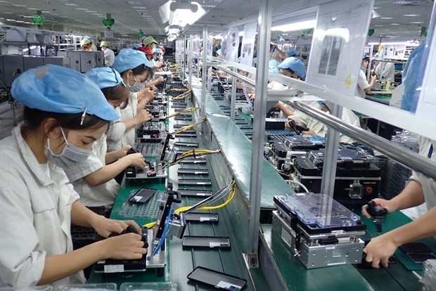Record number of new firms seen in eight months