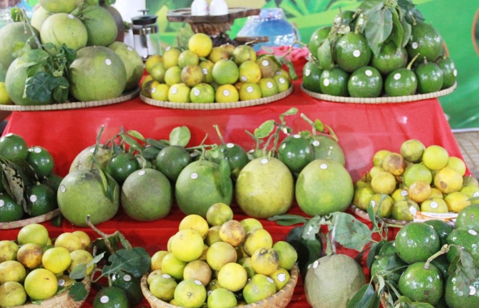 Hội chợ Triển lãm Nông nghiệp Quốc tế lần thứ 23 sẽ diễn ra từ ngày 14 đến 17/9