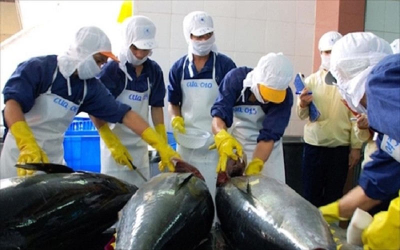 Canned tuna exports to RoK increase by nearly 500%