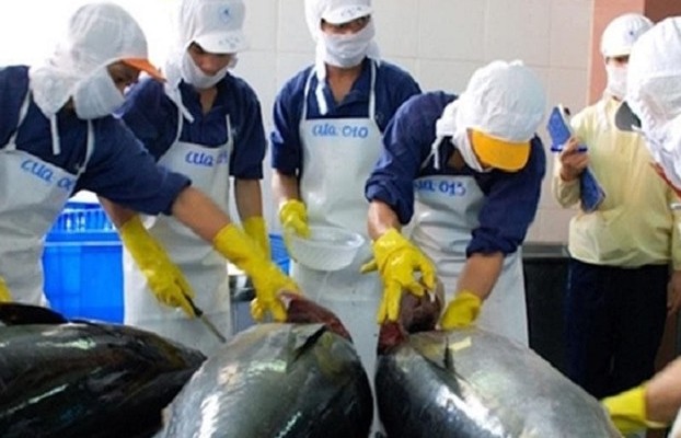 Canned tuna exports to RoK increase by nearly 500%