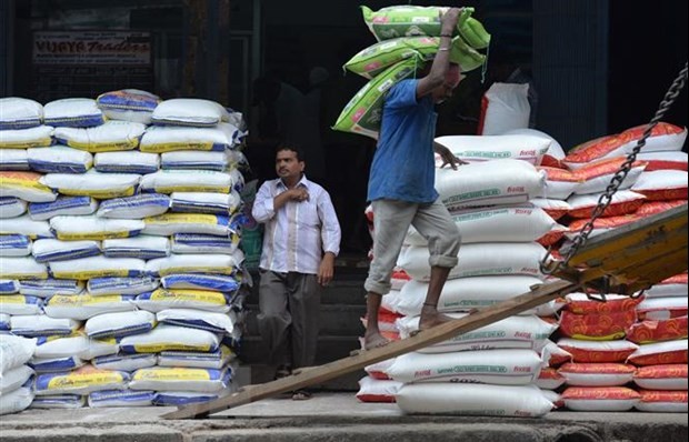 FAO: Chỉ số giá lương thực giảm xuống mức thấp nhất trong 2 năm