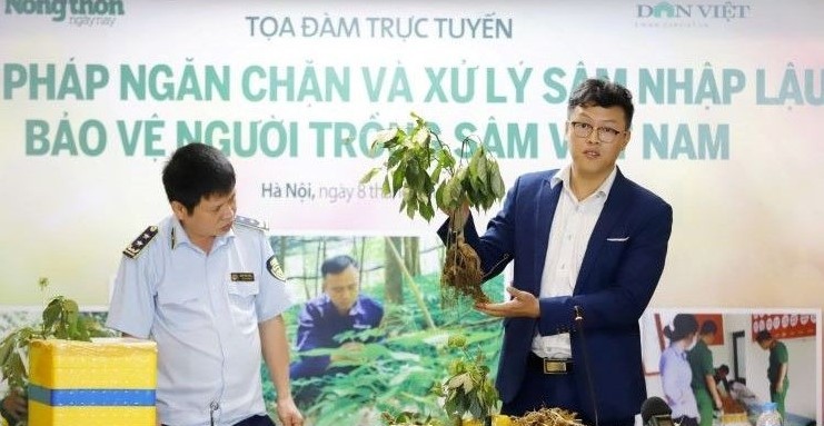 Làm gì để ngăn chặn và xử lý sâm nhập lậu, bảo vệ người trồng sâm Việt Nam?