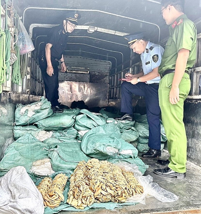 Cao Bằng: Thu giữ, buộc tiêu hủy 1.400 kg lòng bò bốc mùi hôi thối