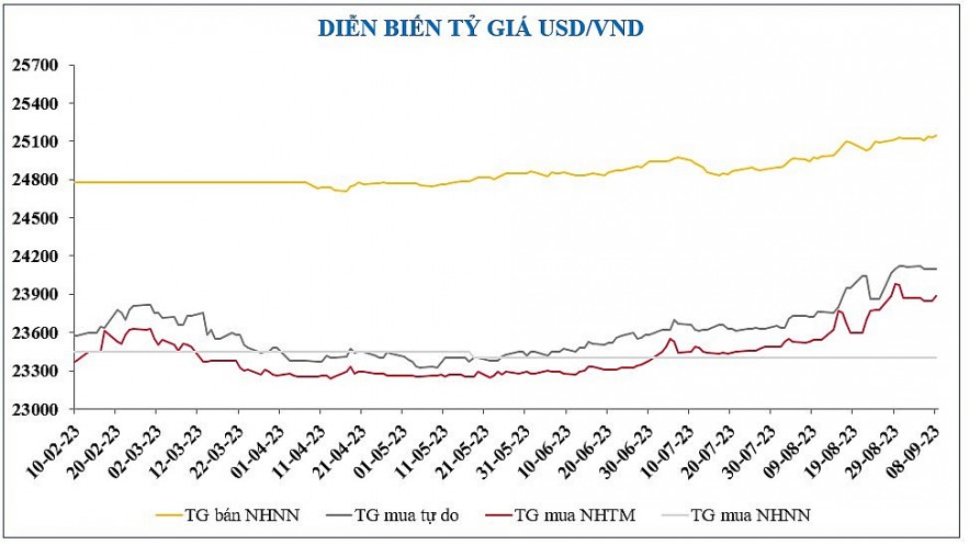 Diễn biến chứng khoán, tỷ giá, giá vàng tuần qua