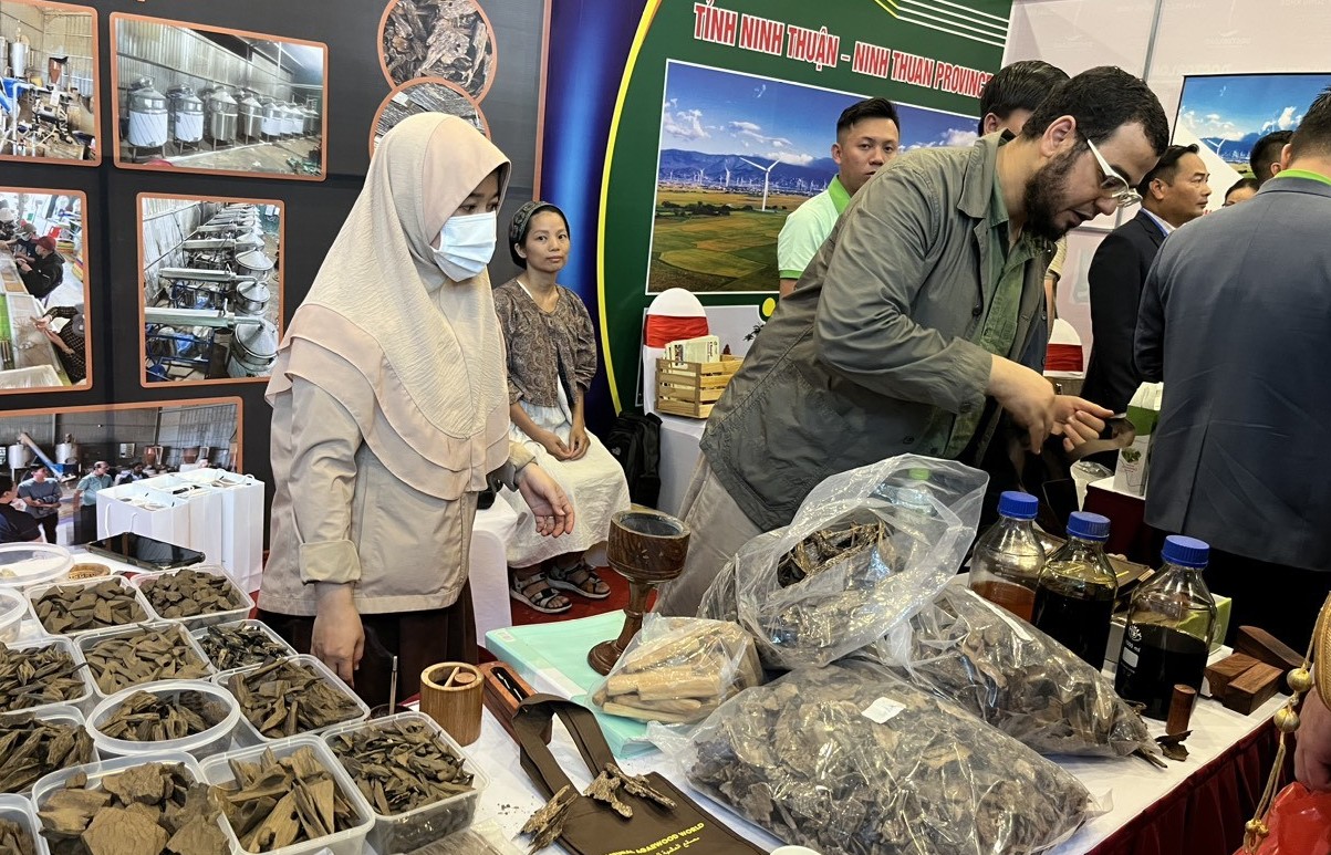 Còn nhiều dư địa hợp tác giữa Việt Nam và Saudi Arabia