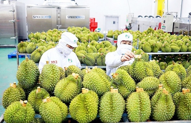 Xuất khẩu tăng trưởng nhờ tận dụng FTA và thị trường Hoa Kỳ