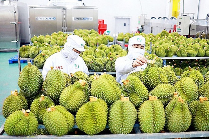 Xuất khẩu tăng trưởng nhờ tận dụng FTA và thị trường Hoa Kỳ