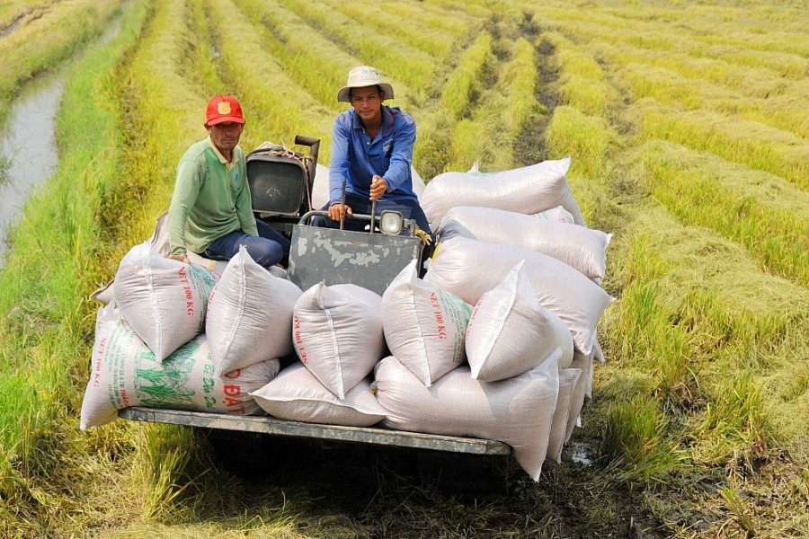 Ngành Nông nghiệp chắc chắn đạt kim ngạch xuất khẩu nông lâm thủy sản đạt 54 - 55 tỷ USD