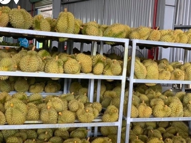 Fruit and vegetable exports to China increase by more than 133%