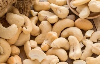 Cashew exports hit record high of over US$300 million in August