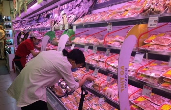 Đảm bảo quản lý ngoại hối linh hoạt để ứng phó với các điều kiện bên ngoài