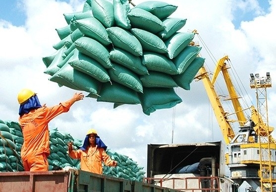 Giá gạo Việt xuất khẩu đầu tuần tiếp tục đi xuống