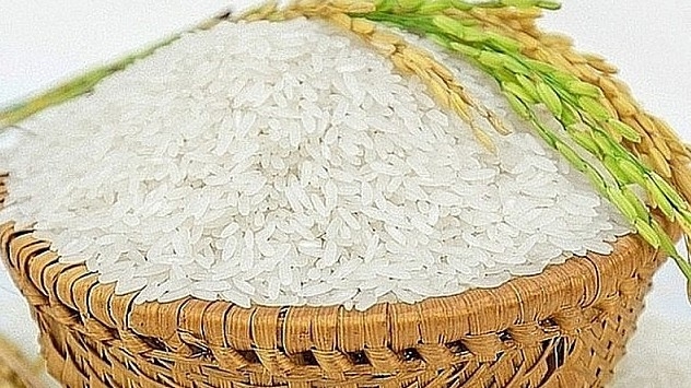 Ngày 19/9: Giá lúa gạo đi ngang trên diện rộng